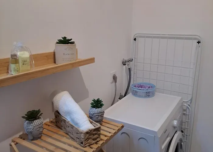 公寓 Le D'lices, Spacieux, Centre-ville, Free Parking